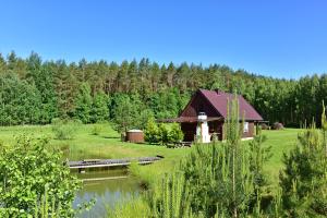 a cabin in a field next to a river at Pundeliškių sodyba in Skynimai