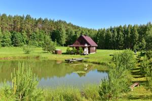 a small cabin next to a pond in a field at Pundeliškių sodyba in Skynimai +22 photos