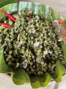 MaratapiにあるSheridan Organic Farm and Eco Villageの緑の葉の上の緑豆皿