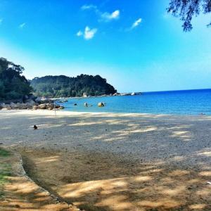 a beach with rocks and the water and trees at Indera Sempurna Ruma Aisya in Kuantan