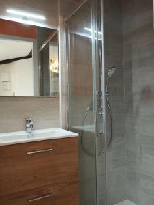 a bathroom with a glass shower and a sink at Le Nid Douillet de l'Hypercentre in Toulouse