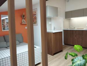 a room with a kitchen and a living room at Le Nid Douillet de l'Hypercentre in Toulouse +6 photos