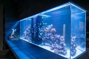 a large aquarium with many fish in it at JAPAVISTA Aqua in Osaka