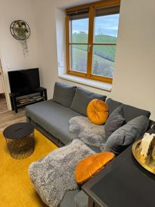 a living room with a couch and a tv at Glanz und Gloria Weingartenapartment an der Kellerstraße, viele Buschenschänke, sehr ruhige Lage, herrliche Aussicht! in Leutschach