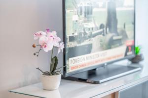 a flower in a pot on a table next to a television at CBD Riverview 2B1B Apt w Shared Pool, Gym in Brisbane