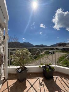 Ein Balkon mit drei Topfpflanzen auf dem Sims in der Unterkunft Sunset view house in Lambiní