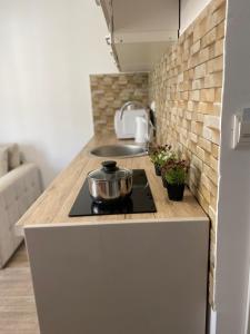 a kitchen counter with a pot on a stove at Apartmani Vila Ana in Gunjica