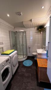ein Bad mit einer Dusche und einer Waschmaschine in der Unterkunft Artic Dream in Gratangen