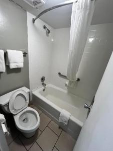 a bathroom with a toilet and a tub and a sink at Southern Inn in Manchester