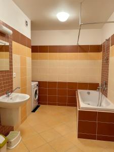 a bathroom with a sink and a tub and a toilet at Apartmán v srdci Poděbrad 100m2 in Poděbrady