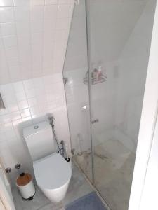 y baño con aseo y ducha acristalada. en River & Beach Apartment near Lisbon, en Trafaria