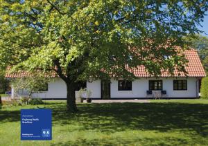 une maison blanche avec un arbre dans la cour dans l'établissement Fuglsang Bed & Breakfast, à Hjørring