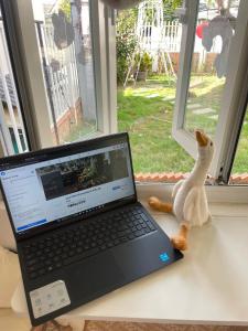a laptop computer sitting on a desk next to a stuffed animal at Chái Nho Homestay in Da Lat