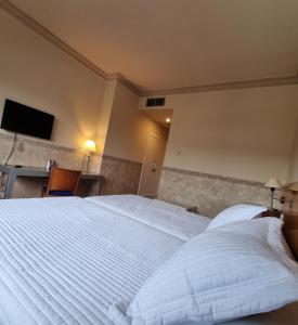 TV a/nebo společenská místnost v ubytování Hotel Azar