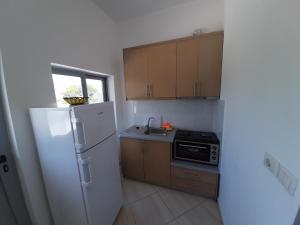 a small kitchen with a refrigerator and a sink at Villas Ermali in Ksamil