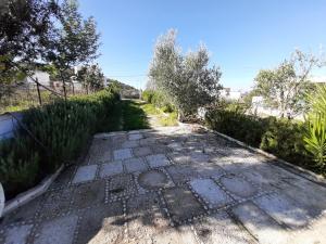 an empty road with bushes and trees on the side at Villas Ermali in Ksamil