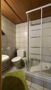 a bathroom with a toilet and a sink at Relais du Volcan in La Plaine des Cafres