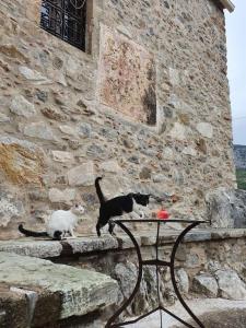 two cats sitting on a stone wall next to a table at A small paradise in Mani with local hospitality in Órva