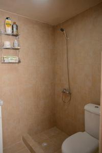 a bathroom with a shower and a toilet in it at A small paradise in Mani with local hospitality in Órva