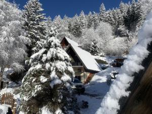 a snow covered tree in front of a cabin at Das kleine Feriendorf in Carinthia