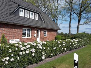 ein rotes Backsteinhaus mit einer Hecke aus weißen Blumen in der Unterkunft Fewo Meer und Moor in Bad Zwischenahn