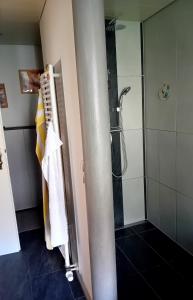 a bathroom with a shower with a towel on a pole at Staufenhof in Bad Reichenhall