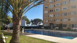 eine Palme vor einem Gebäude mit Pool in der Unterkunft Golden Estudio in Málaga
