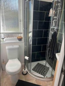 uma casa de banho com um WC e uma cabina de duche em vidro. em Large 2 Bedroom cabin Stunning Views on an 18 Hole golf course em Tydd Saint Giles