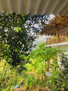 a tree in front of a building with a balcony at Sandaro Rest Inn in Ella