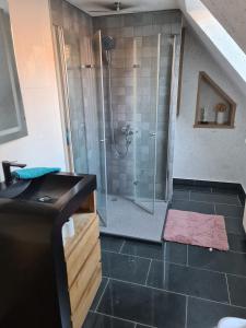 a bathroom with a shower with a glass shower stall at Brick House in Frohburg