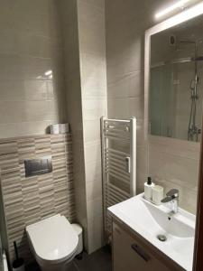 a bathroom with a toilet and a sink and a mirror at Apartment in Ljubljana center in Ljubljana