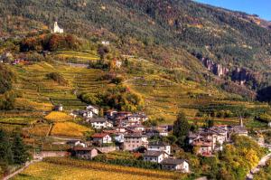 een klein dorpje op een heuvel met wijngaarden bij App. Valentina in Segonzano