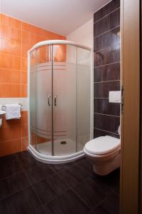 a bathroom with a glass shower and a toilet at Rooms En Krajcar in Cerknica