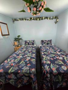 Titikawekaにある2rangi Beach Homestay at Mirimiri Spaのベッドルーム1室(ベッド2台、植物付)