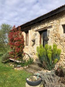 Κήπος έξω από το Le Merlat Gite