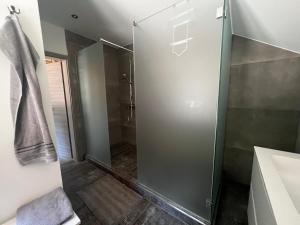 um chuveiro com uma porta de vidro na casa de banho em Ferienwohnung Werraquell Hütte em Masserberg