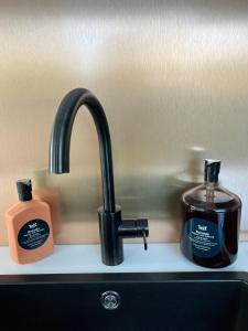 a sink with a soap and a soap dispenser next to a kitchen sink at Naar Ineke in Doesburg