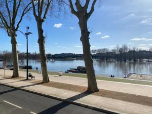 a sidewalk with trees on the side of a river at 50 m2 Vue Loire avec parking in Orléans