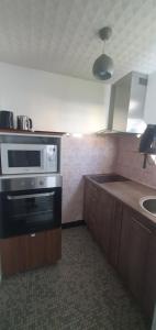 een keuken met een fornuis en een magnetron. bij Villa Argentine T2 classé 2* thème cosy in Dax