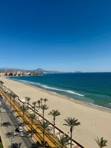 uma vista para uma praia com palmeiras e para o oceano em Vistas al Mar, Piscina y Playa em Alicante