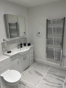 a bathroom with a toilet and a sink and a mirror at Beautiful 4 Berth Seaside Apartment On Ground Floor In Hemsby, Ref 99010fh in Great Yarmouth