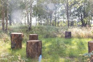 a group of tree stumps sitting in the grass at Glamping in Småland in Eksjö