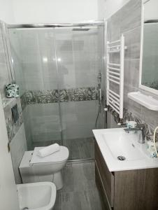 ein Bad mit einer Dusche, einem WC und einem Waschbecken in der Unterkunft Il Focolare in Focene