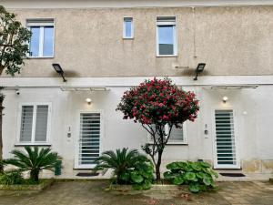 ein weißes Gebäude mit Fenstern und einem Baum mit roten Blumen in der Unterkunft Appartamento Casa Crispino Piano terra per 2 persone in Frattaminore