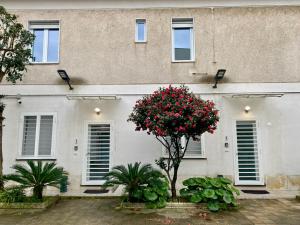 biały budynek z oknami i drzewem z czerwonymi kwiatami w obiekcie Appartamento Casa Crispino Piano terra per 2 persone w mieście Frattaminore