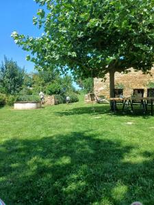 a picnic table under a tree in a field at Ferienwohnung Oma Else in Offenheim