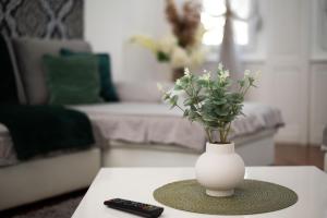 Χώρος καθιστικού στο Apartment Primula