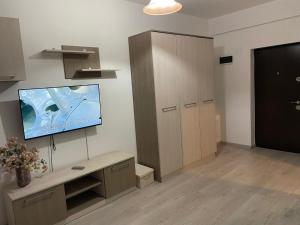 een woonkamer met een flatscreen-tv aan de muur bij Zen Studio in Roşu