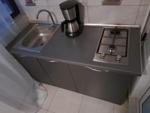 um balcão de cozinha com um fogão e um lavatório em Zen Studio em Roşu