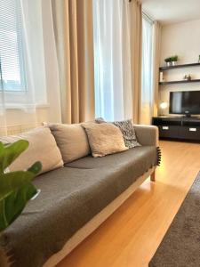a living room with a couch and a television at Apartment Tina - Old Town, Free Private Parking in Bratislava